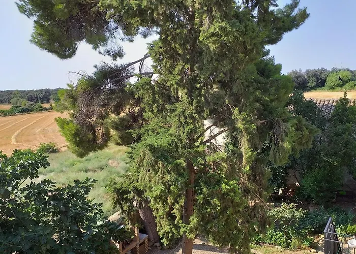 Affittacamere Boletas 3*